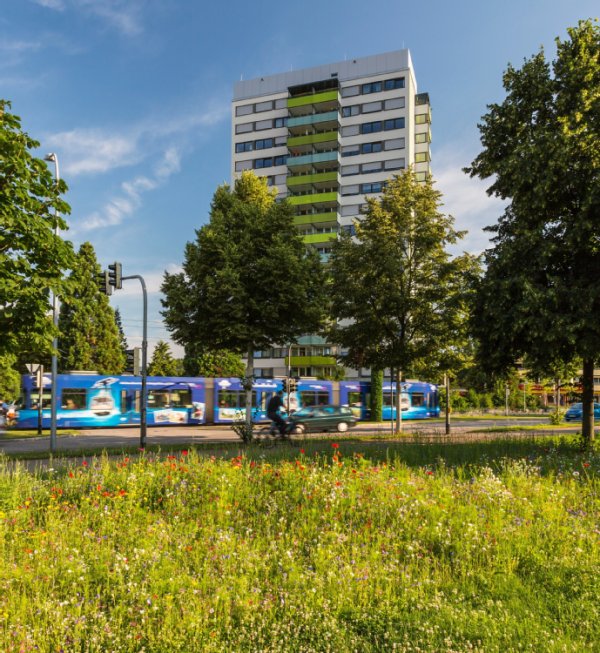 Straßenbahn vor Hochhaus in der Bugginger Straße, vorne im Bild grüne Wiese