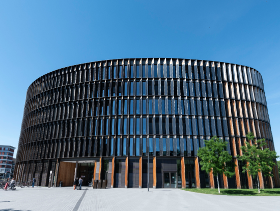 Rathaus im Stühlinger